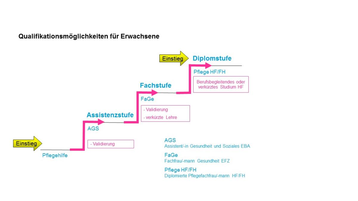 Einstieg für Erwachsene_Grafik
