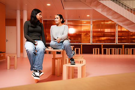 Fachfrau Gesundheit Gespräch