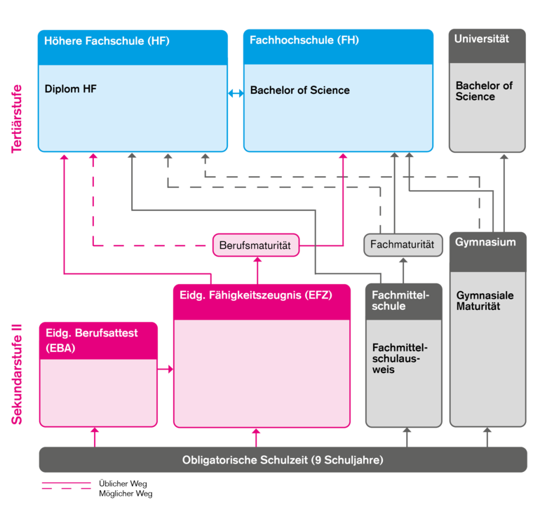 Grafik Bildungswege_Gesundheitsberufe