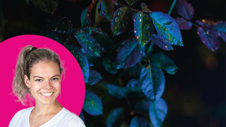 Vom Sprechen mit Sterbenden